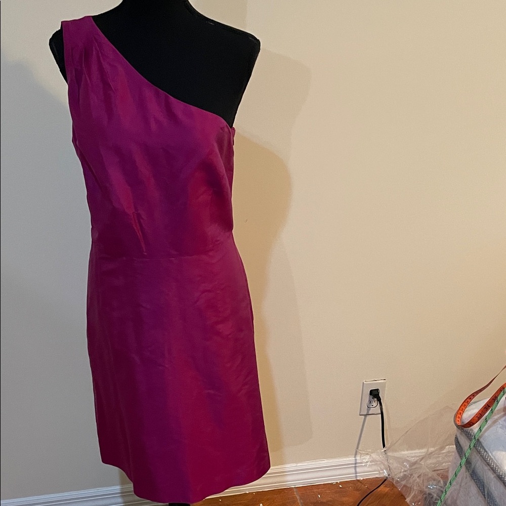 Ann Taylor One-Shoulder Fuchsia Dress